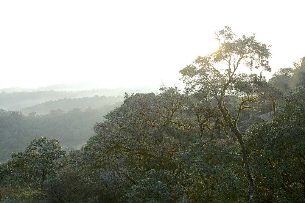 Taj Madikeri Resort & Spa Coorg Экстерьер фото